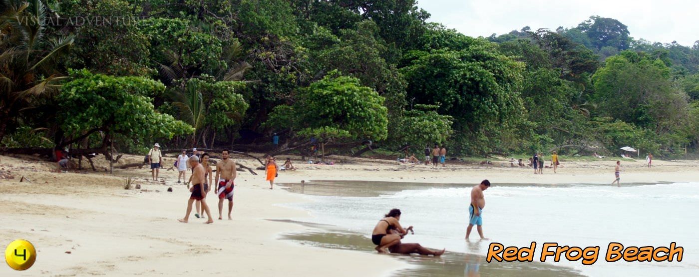 Beach Town Tours Beach Town Tours